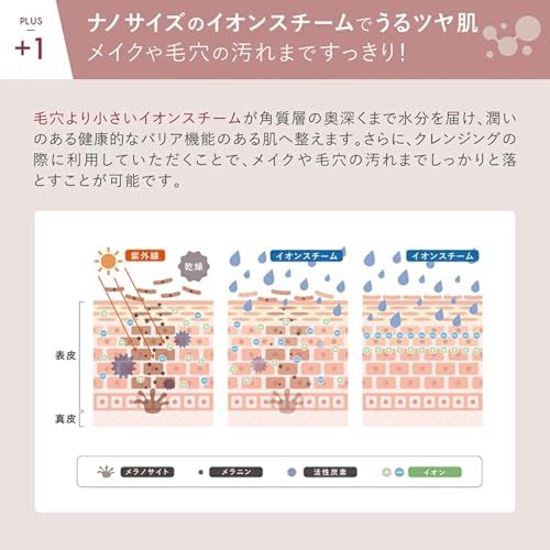 【LINKA (リンカ) イオン フェイススチーマー 保湿＆毛穴ケア】美顔スチーマー 美顔器 アロマ機能付き 毛穴ケア 角質除去 (ウォームグレー)pms bc593e3a