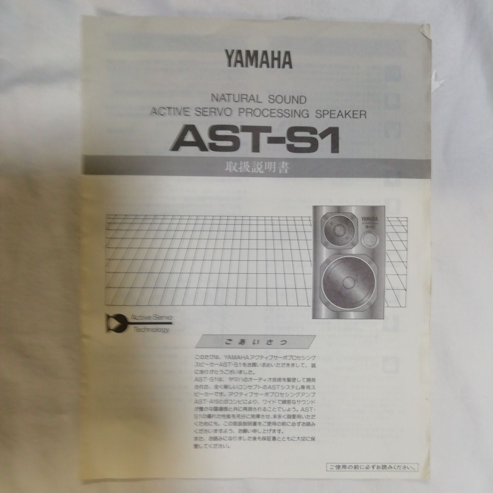ジャンク品】 YAMAHA ヤマハ AST-S1 スピーカーペア! 天面キズあり