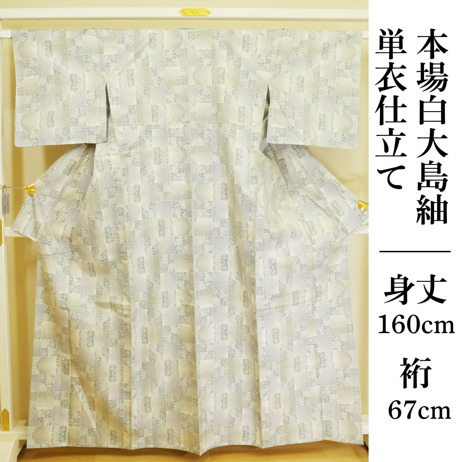 【本場白大島紬】｜単衣仕立て｜中古美品｜名匠 入来玄彩｜正絹｜市松幾何学文様｜居敷当付｜身丈160 裄70｜初夏の風をふわりと纏う。今が旬の白大島！｜