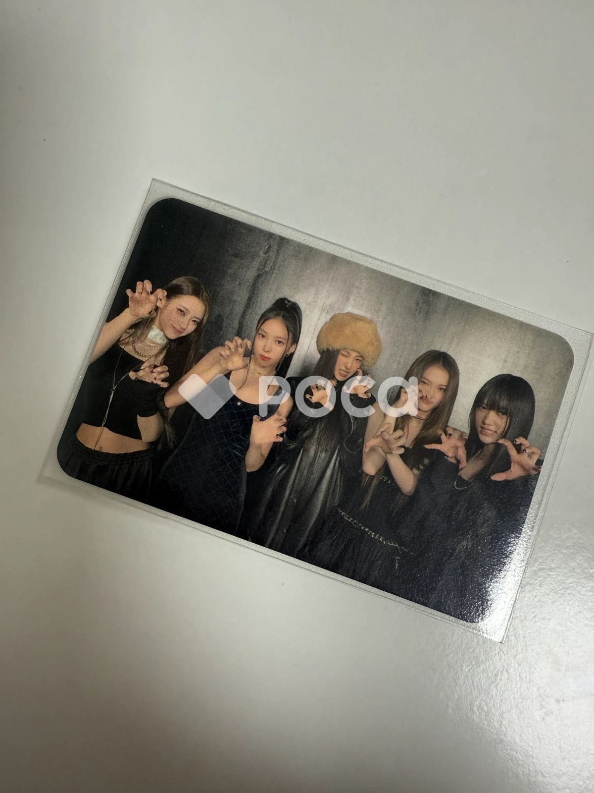 MEOVV 集合/ユニット MEOW 公開放送
