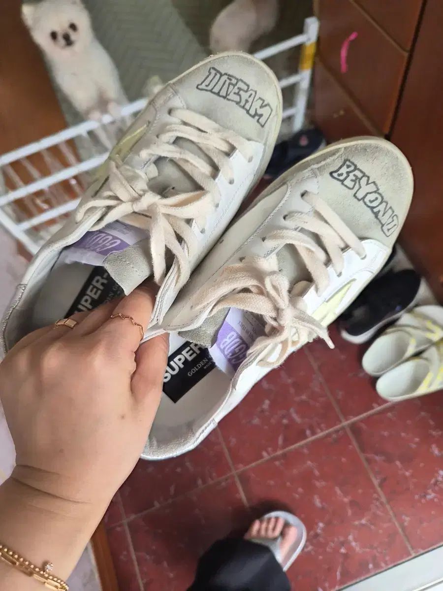 GOLDEN GOOSE ゴールデングース 正規品 11,384円