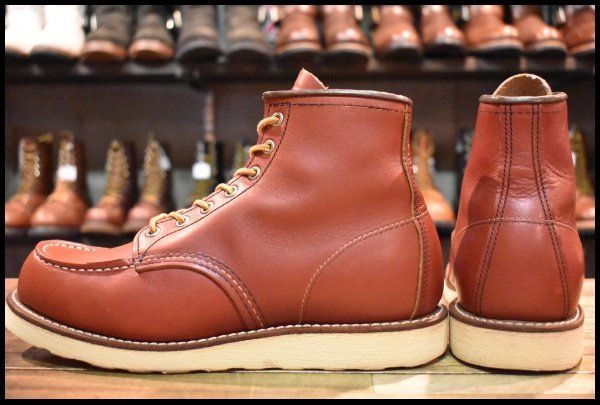 8.5E 良品 犬タグ復刻 19年】レッドウィング 8875 アイリッシュ