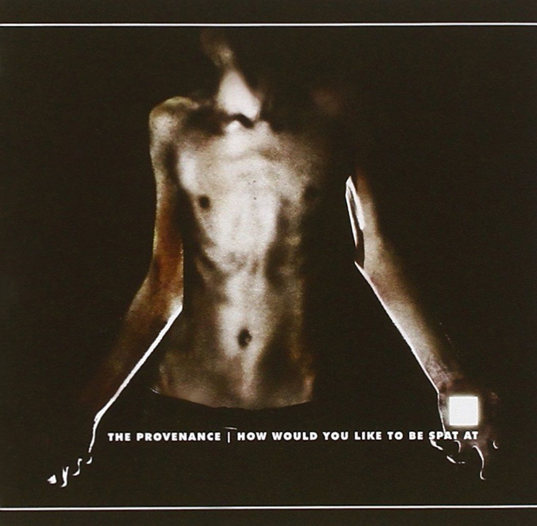 【CD】How Would You Like To Be Spatat