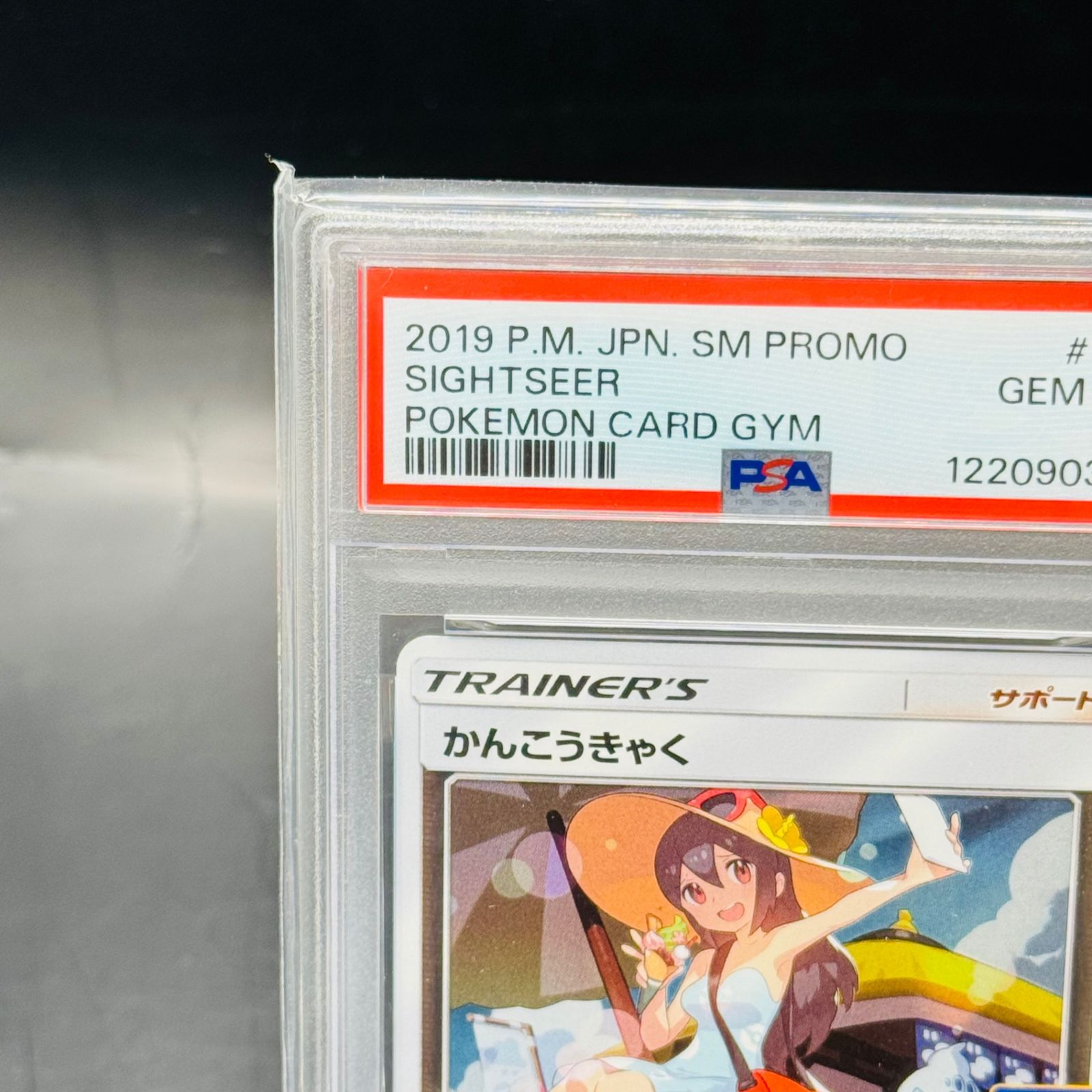 かんこうきゃく: プロモ [SM-P 308](プロモーションカード「SM-P
