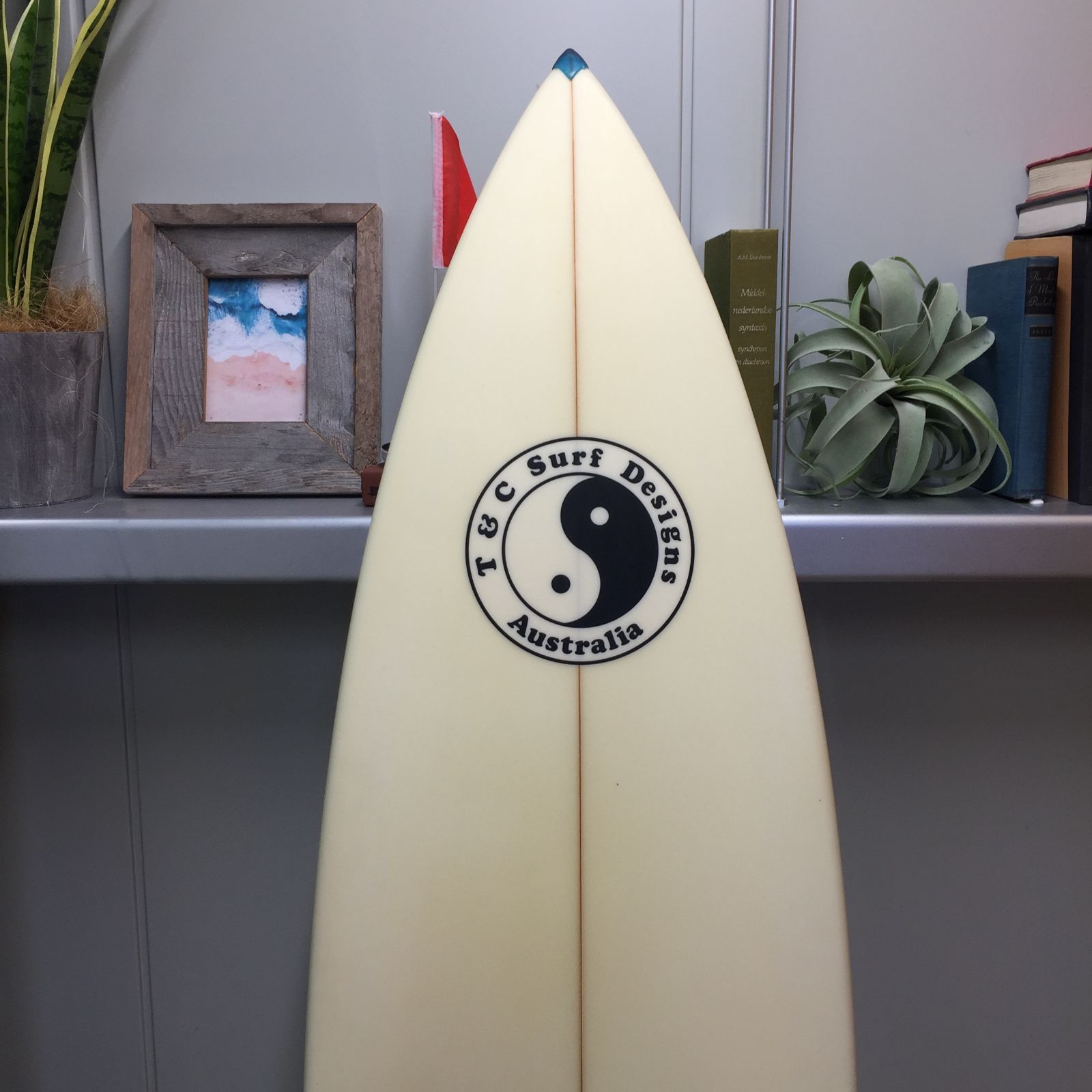 希少 送料込 6'5 【ムラスポ公式】T＆C タウンアンドカントリー