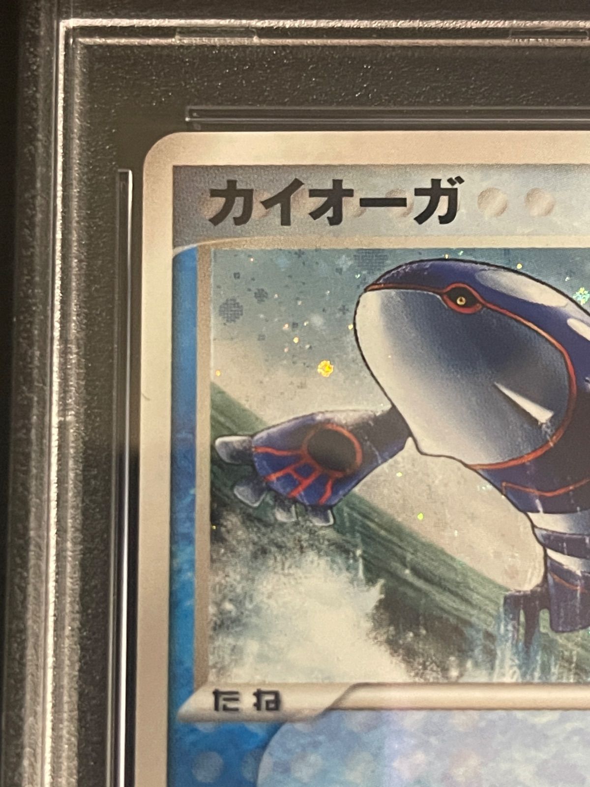 ポケモンカード 2004年 カイオーガ 003/019 ギフトボックス エメラルド