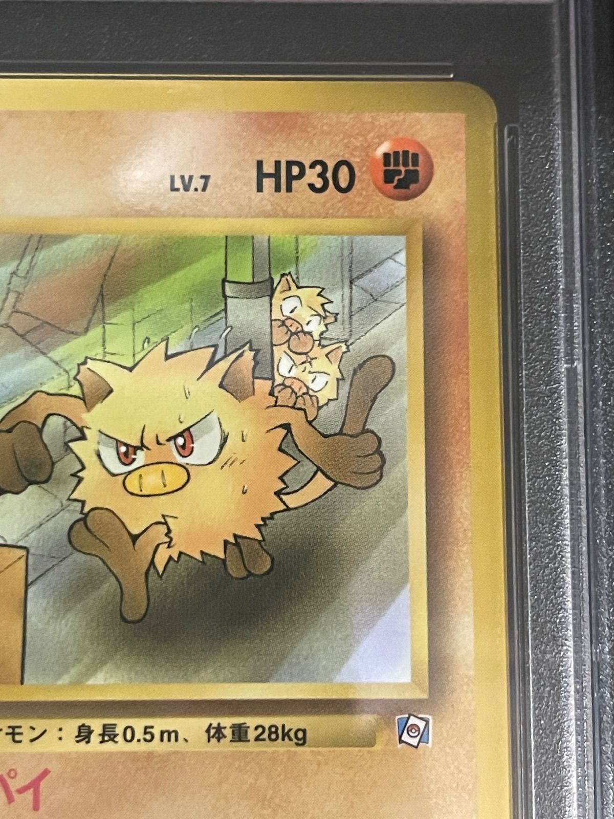 ポケモンカード 1999年 マンキー 旧裏 ポケモンカードになったワケ 1巻 