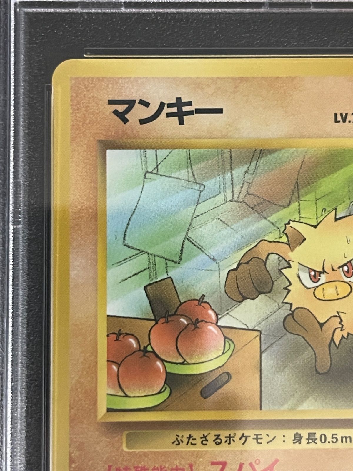 ポケモンカード 1999年 マンキー 旧裏 ポケモンカードになったワケ 1巻