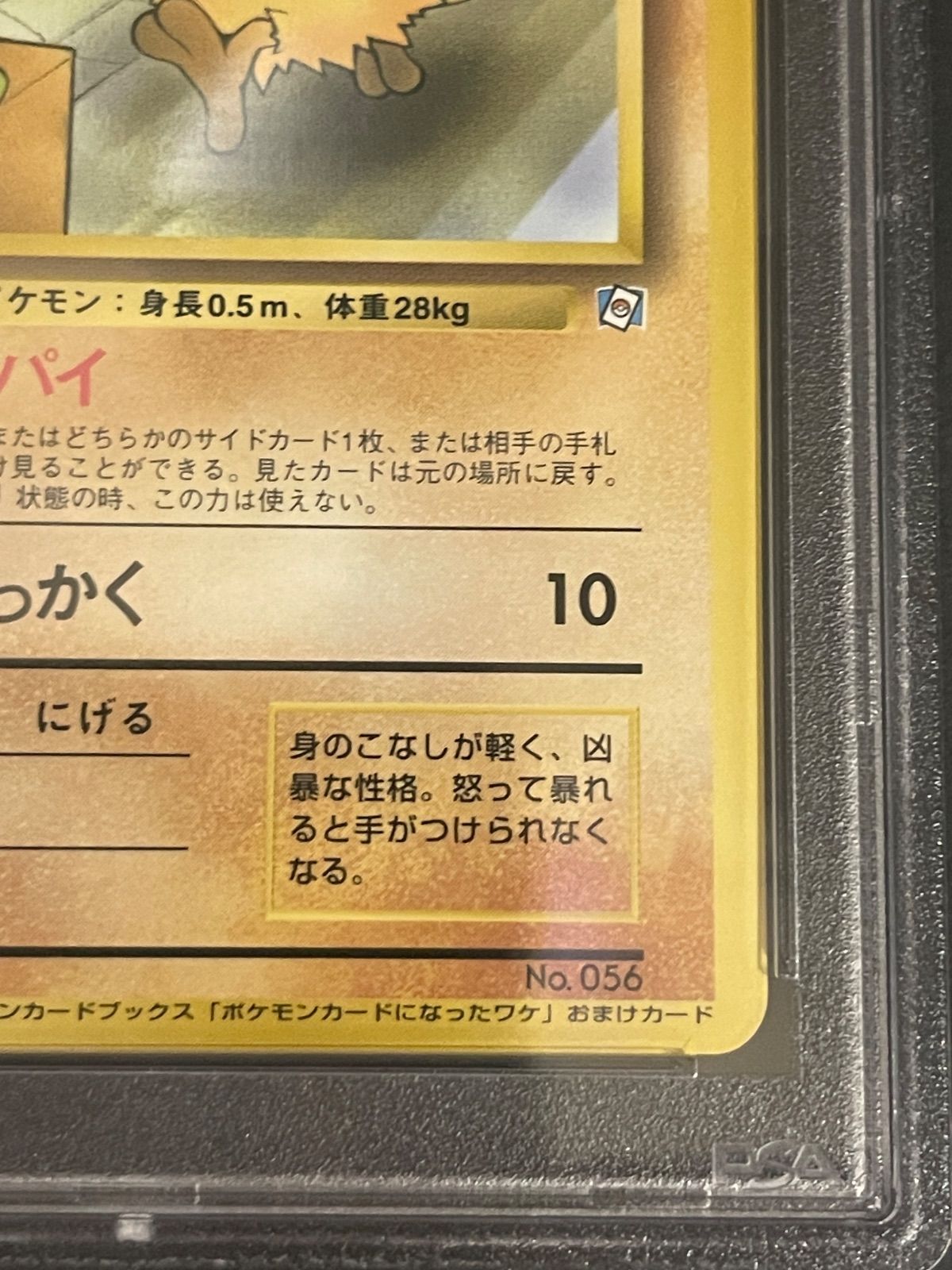 ポケモンカード 1999年 マンキー 旧裏 ポケモンカードになったワケ 1巻