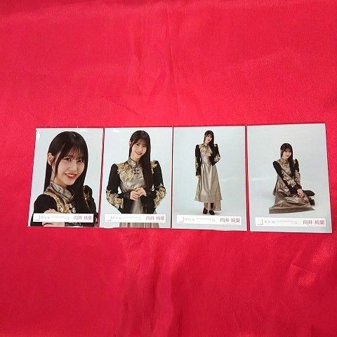櫻坂46 向井純葉 コンプ 「4th YEAR ANNIVERSARY LIVE」 ライブ衣装 生