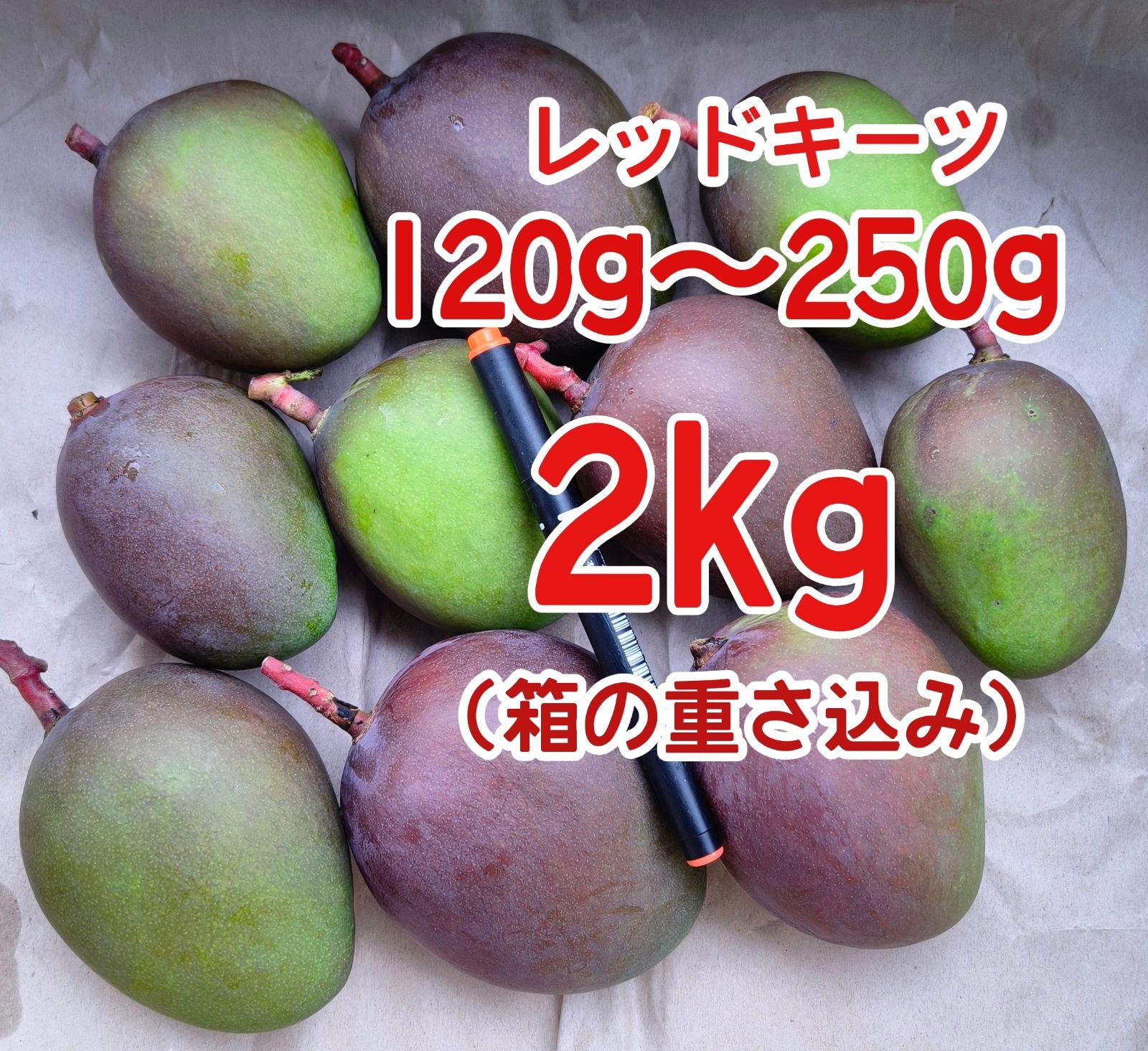 摘果 未熟 加工用 マンゴー/ 約2㎏〈約120g～250g〉レッドキーツ