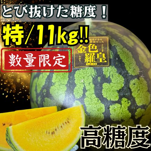 糖度13度】金色羅皇 大玉スイカ 12kg クール便 - メルカリ