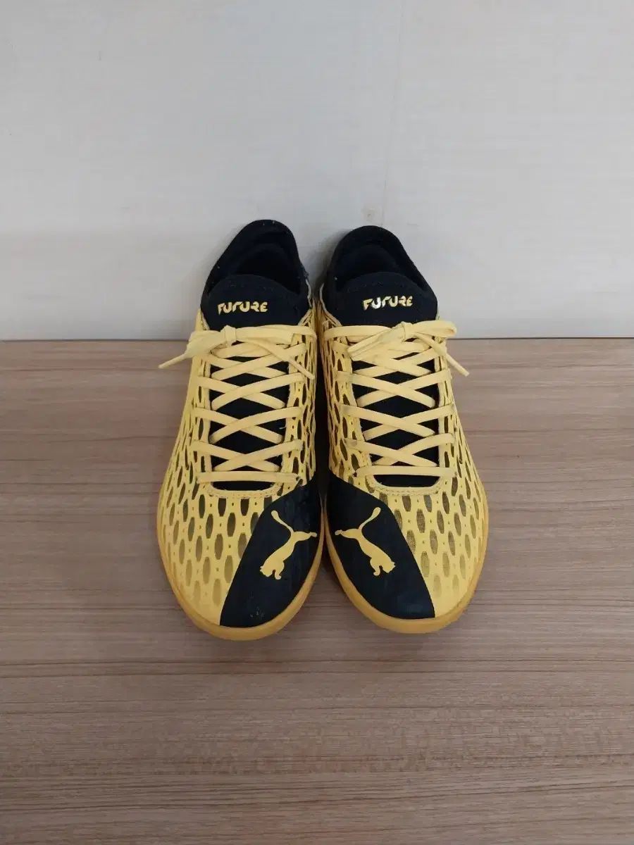 メンズ PUMA Future 5 4 TT 人造芝 サッカーシューズ フットサルシューズ (265