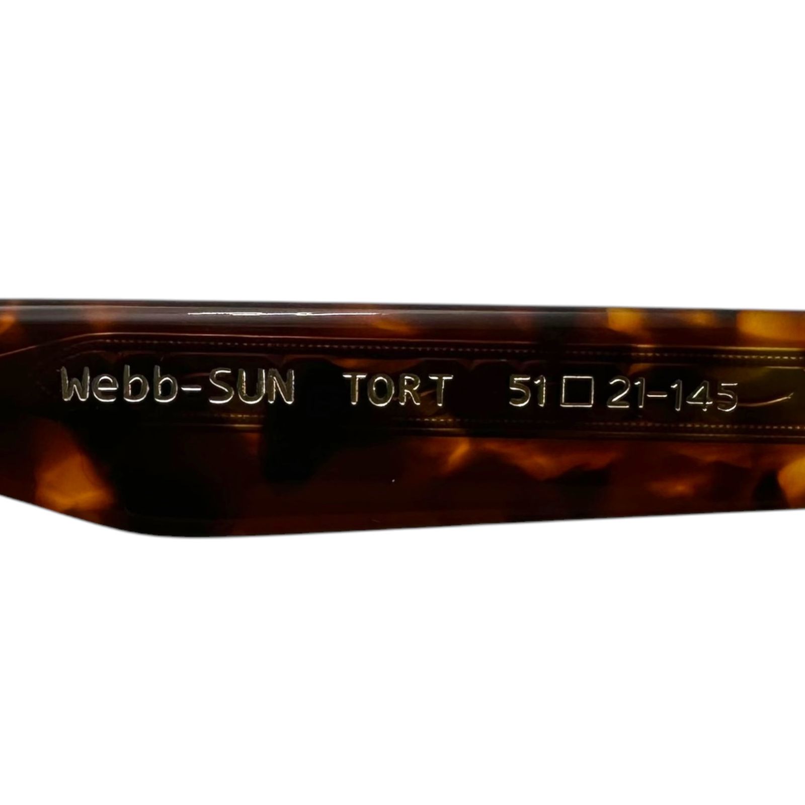 EYEVAN(アイヴァン) Webb - SUN (TORT S BR) ウェリントン サングラス