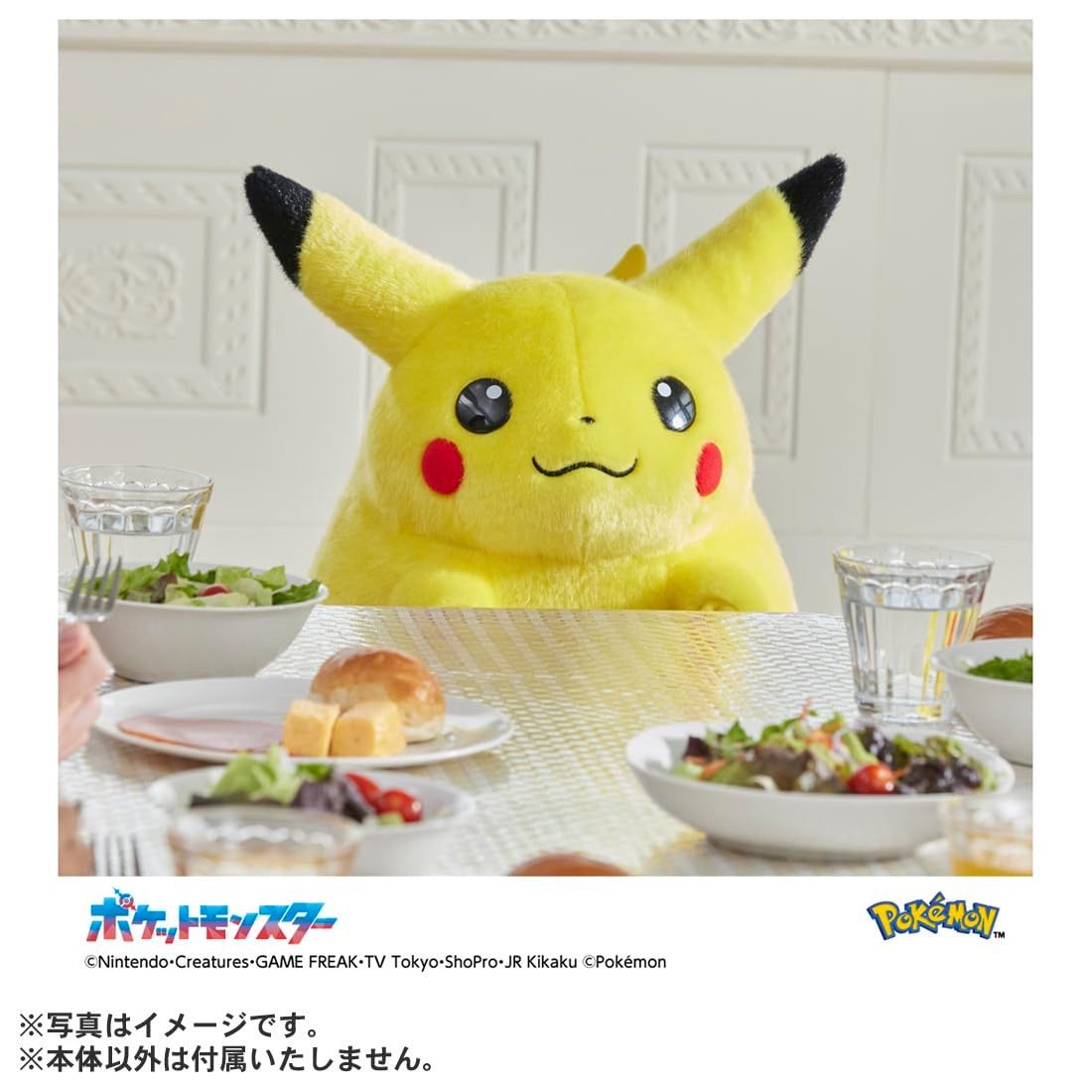新品未開封 タカラトミー (TAKARA TOMY) ポケットモンスター ポケモン