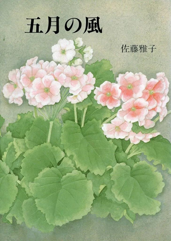 [Used] Book (practical) ≪Children's book≫ May Wind