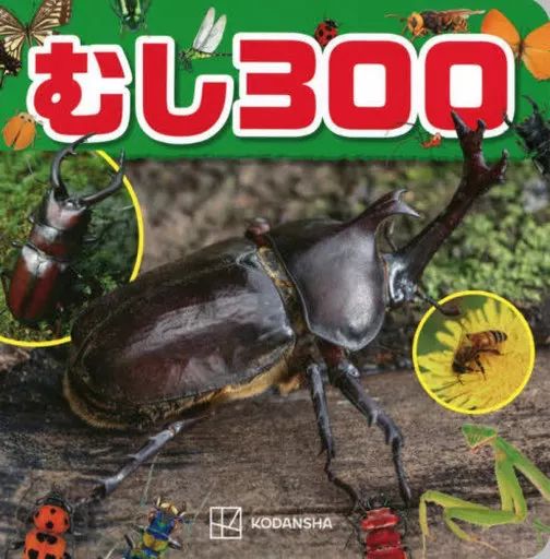 [Used] Book (Practical Use) “Practical/Craft/Hobby” Musi 300