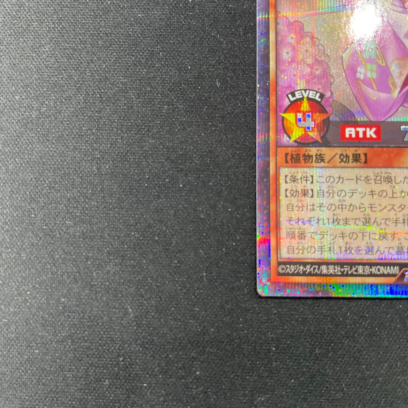 遊戯王 ラッシュデュエル 花牙点のアジサイ シークレット イラスト違い