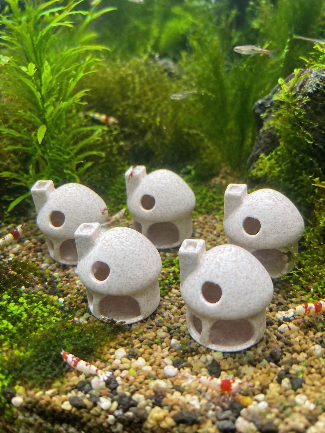 5個セット】エビ・小型魚の隠れ家シェルター｜コンパクト水槽に最適