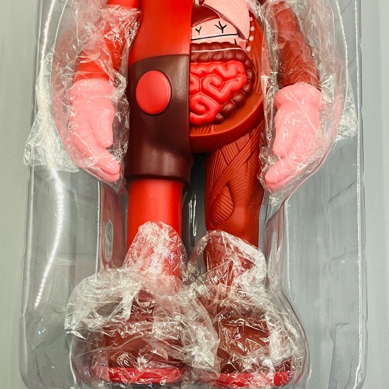 KAWS COMPANION flayed 人体模型6体セット 新品未開封品 正規品】MEDICOM TOY KAWS Companion FLAYED Open Edition ピンク