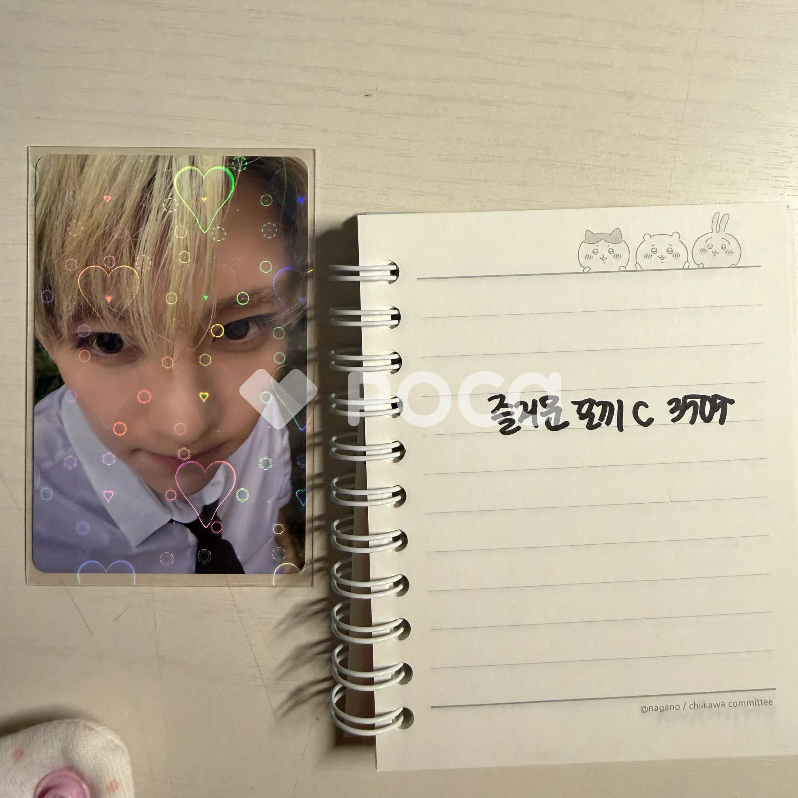Dicon NCT WISH シオン セット ktown4u.com : DICON VOLUME N°29 NCT WISH : MY YOUTH, MY WISH A