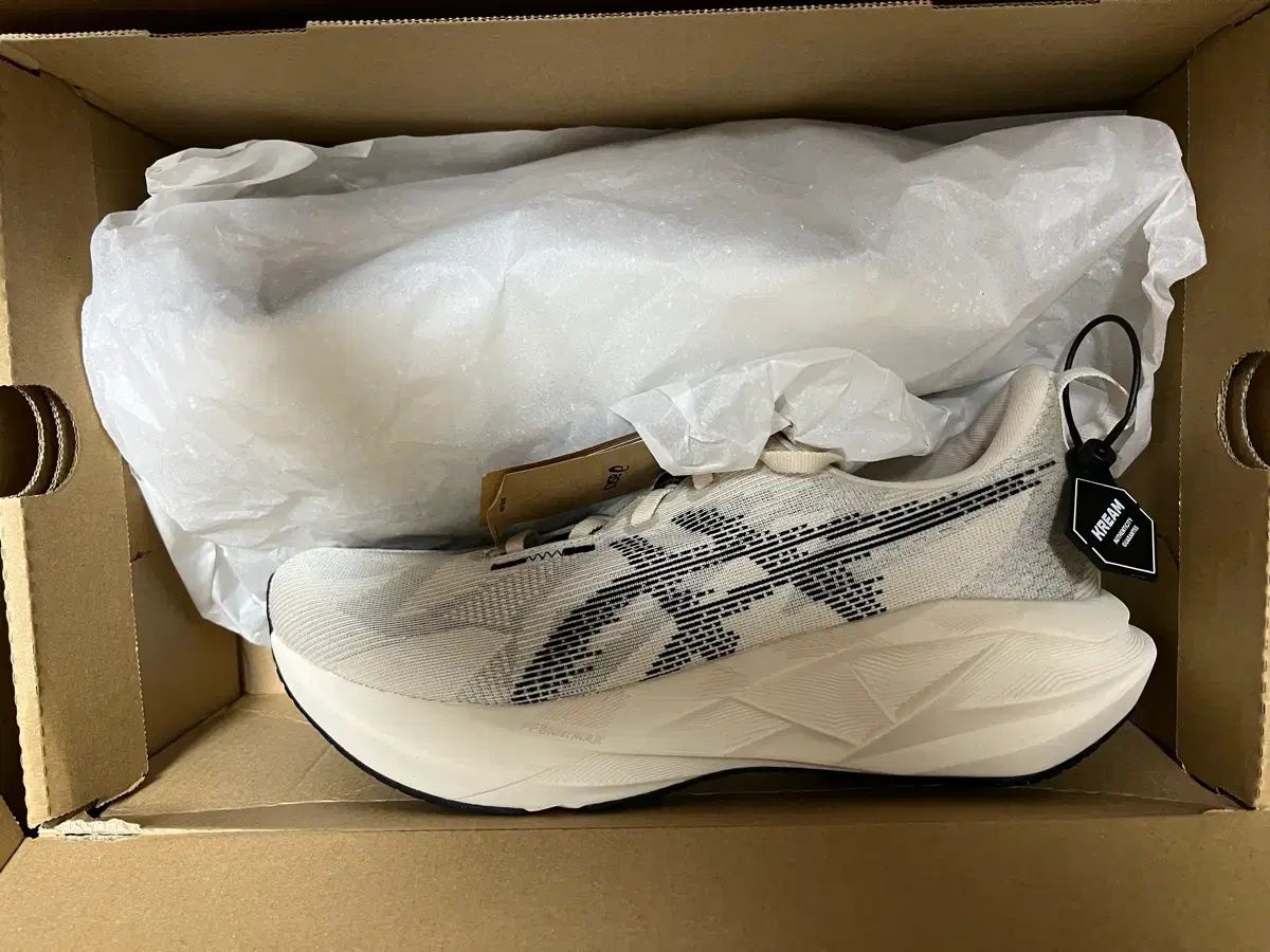 アシックス ノヴァブラスト5 オートミール 260 新品