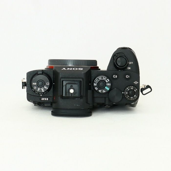 SONY α9 II ボディ ILCE-9M2 SONY α9 II ILCE-9M2レビュー｜プロが選ぶ理由とは | PANDA TIMES