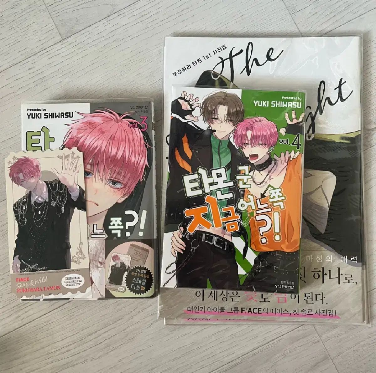 タモン君 今 どちら? 4 限定モデル 3 初回版 特典 パンフレット 純情漫画 漫画