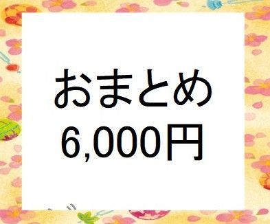 おまとめ購入希望者用　（￥6,000円、他の商品の複数購入希望者用）　検索用＃雪割草＃山野草＃ウチョウラン＃蘭＃カタクリ＃キスミレ＃行者ニンニク＃ヒメサユリ＃シラネアオイ＃ワサビ＃エビネ