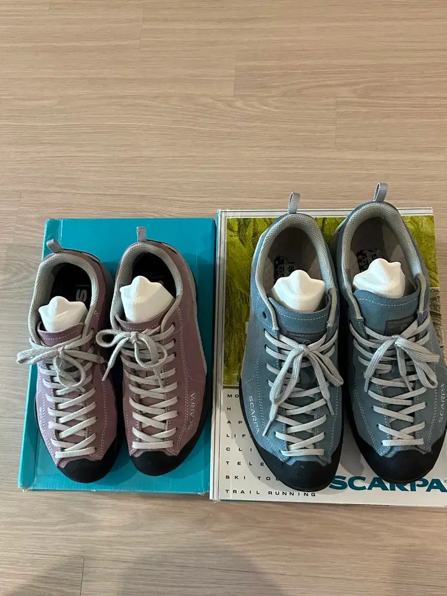 SCARPA(スカルパ)モヒート チプリア 38