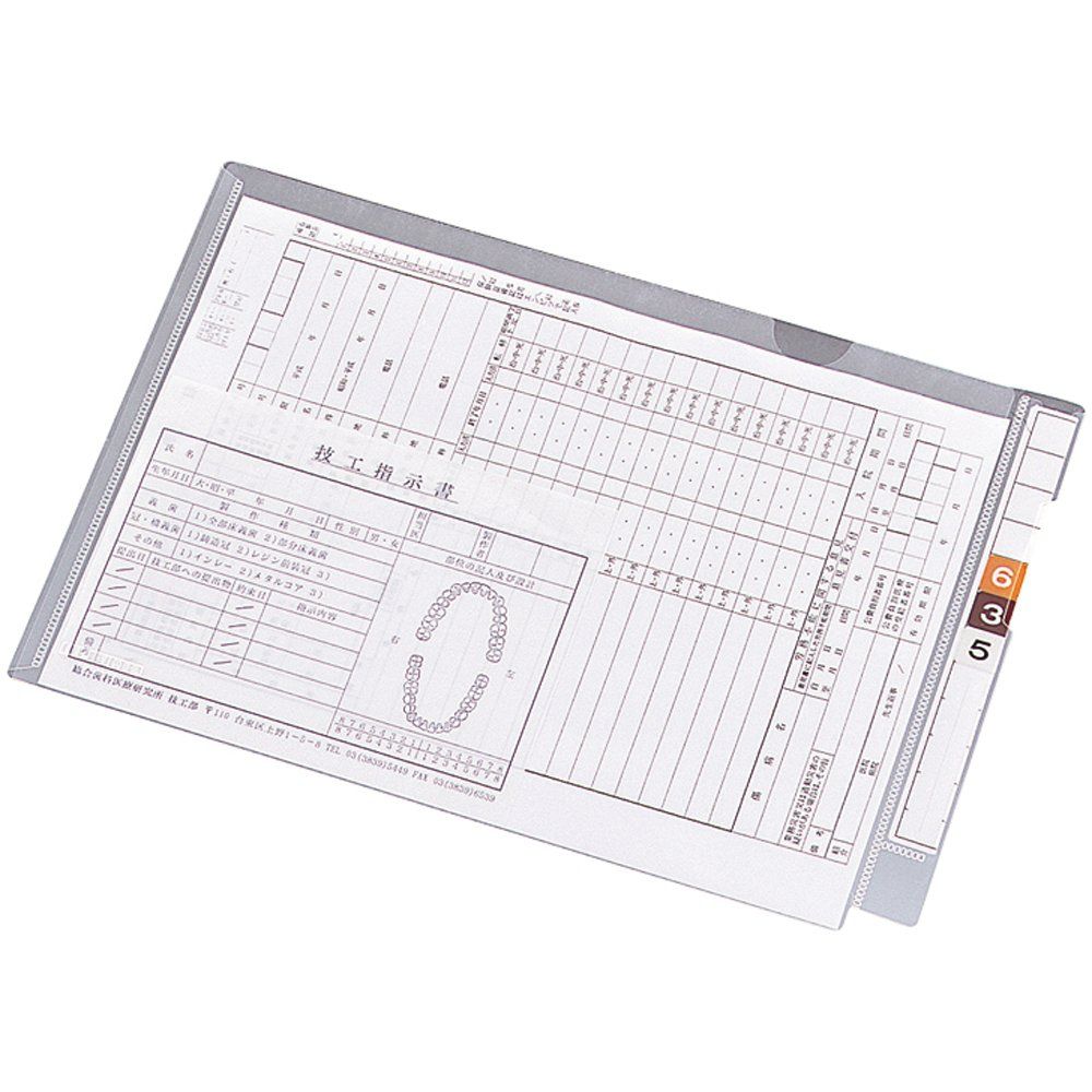 新品 リヒトラブ カルテフォルダー フラップ付 A4 100枚入 HK2003