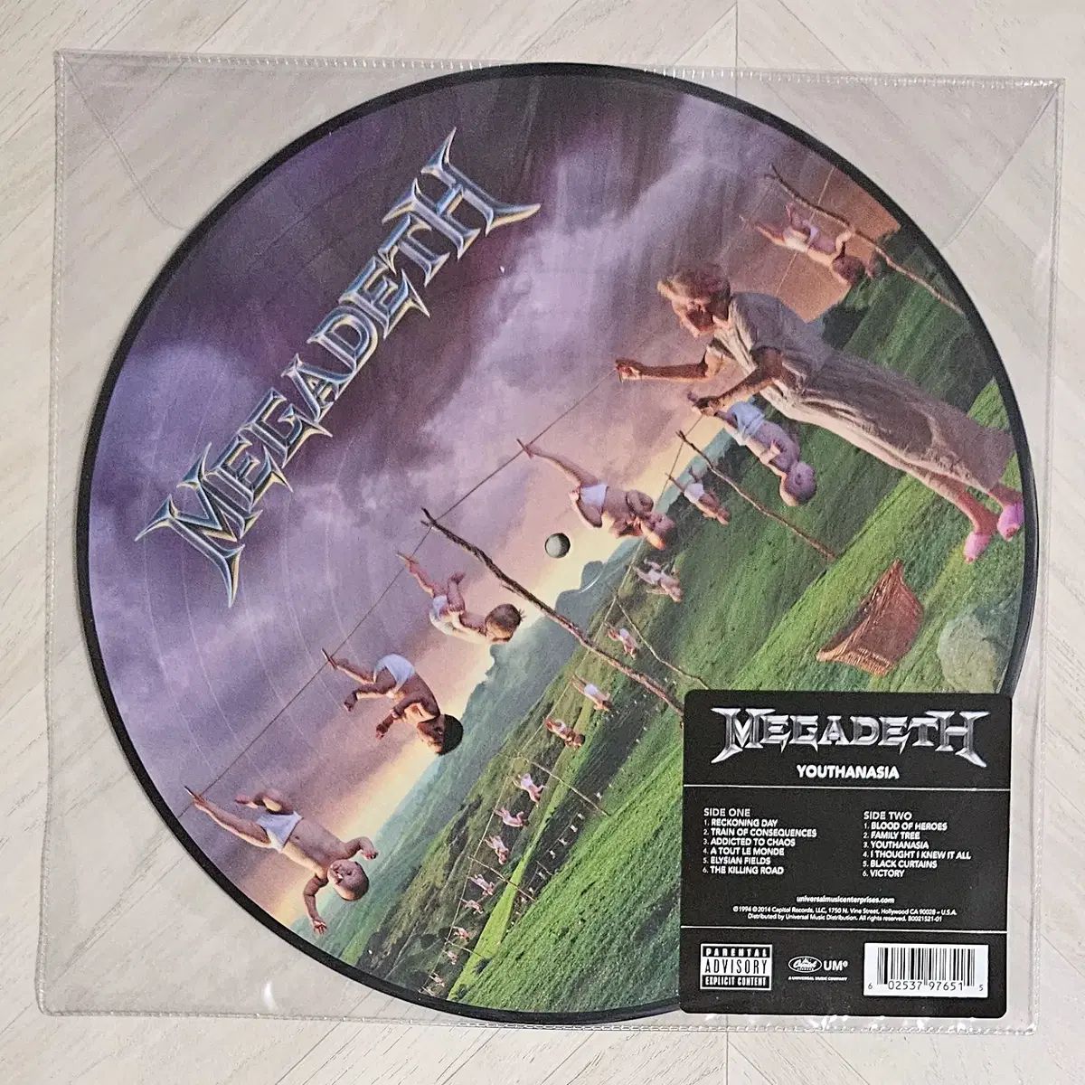 Megadeth メガデス Youthanasia ピクチャーディスク LP