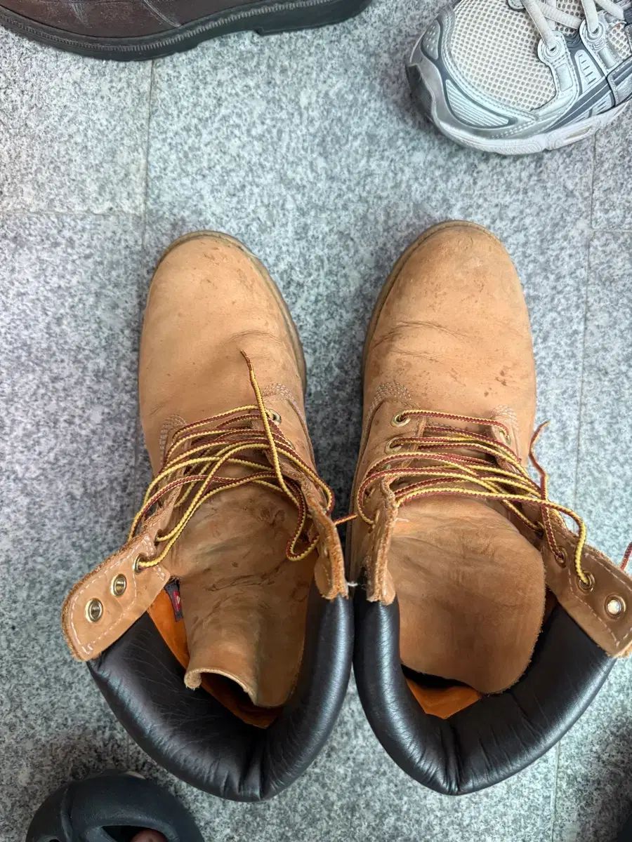 Timberland 6インチ 265 270