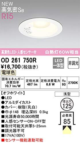 新品 オーデリック ダウンライト 【OD261750R】【OD 261 750R】