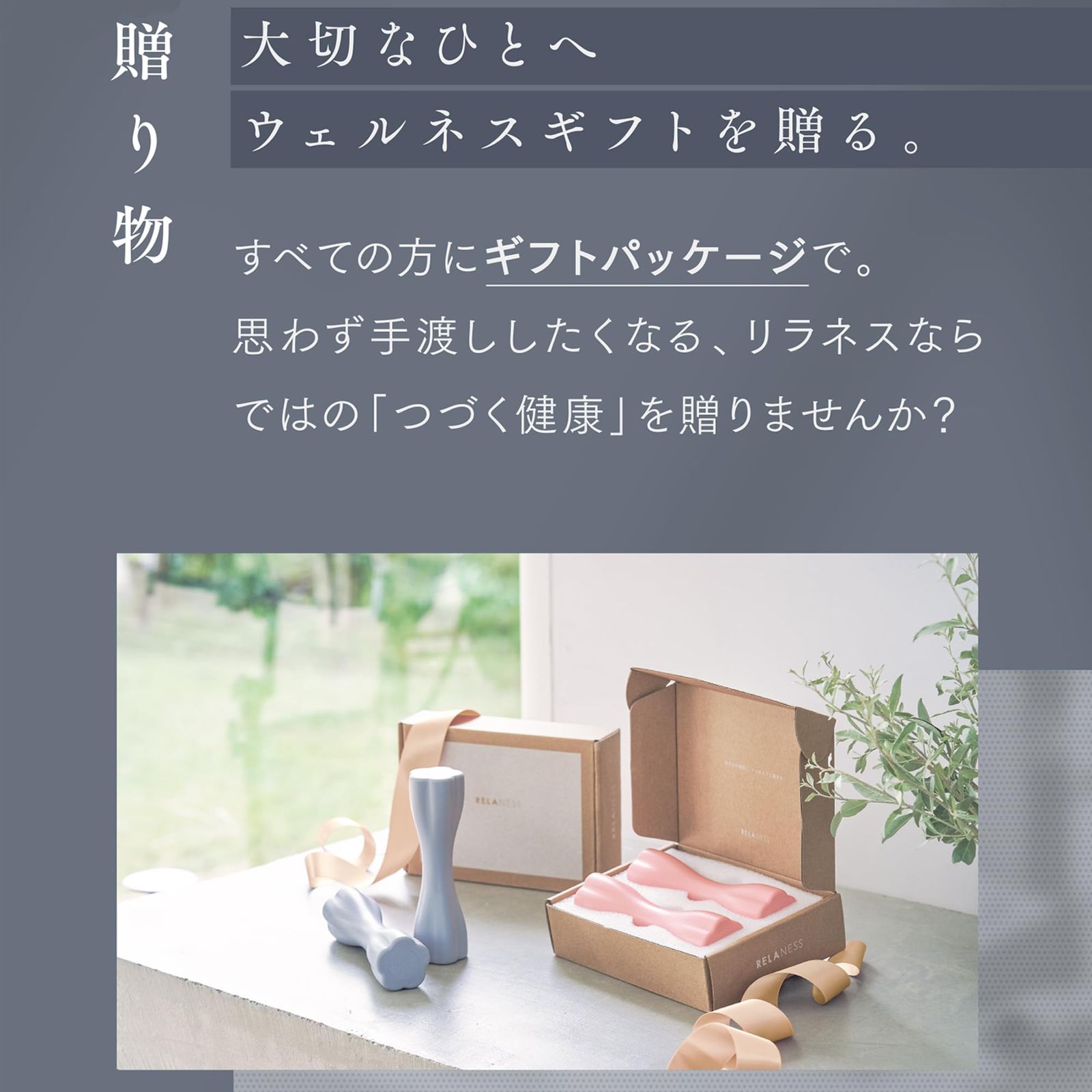 新品 RELANESS CurvyBar 飾れる ダンベル 1kg/2kg/3kg/4kg/5kg【お風呂 