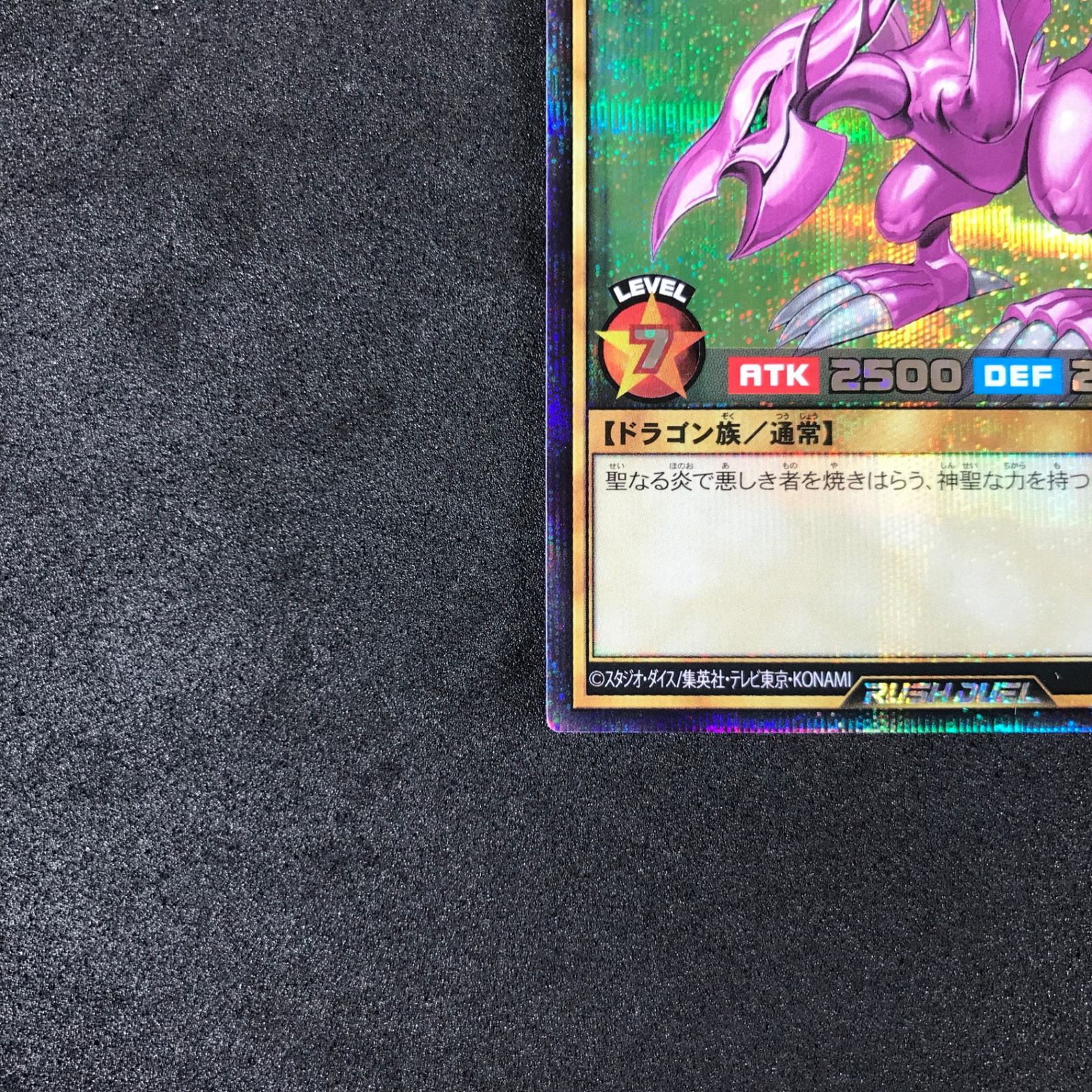 ☆遊戯王ラッシュデュエル RD/DK01-JP001 ホーリー・ナイト・ドラゴン