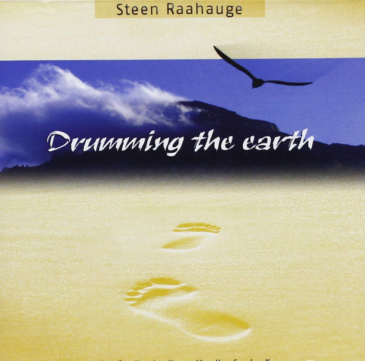 【CD】Drumming the Earth
