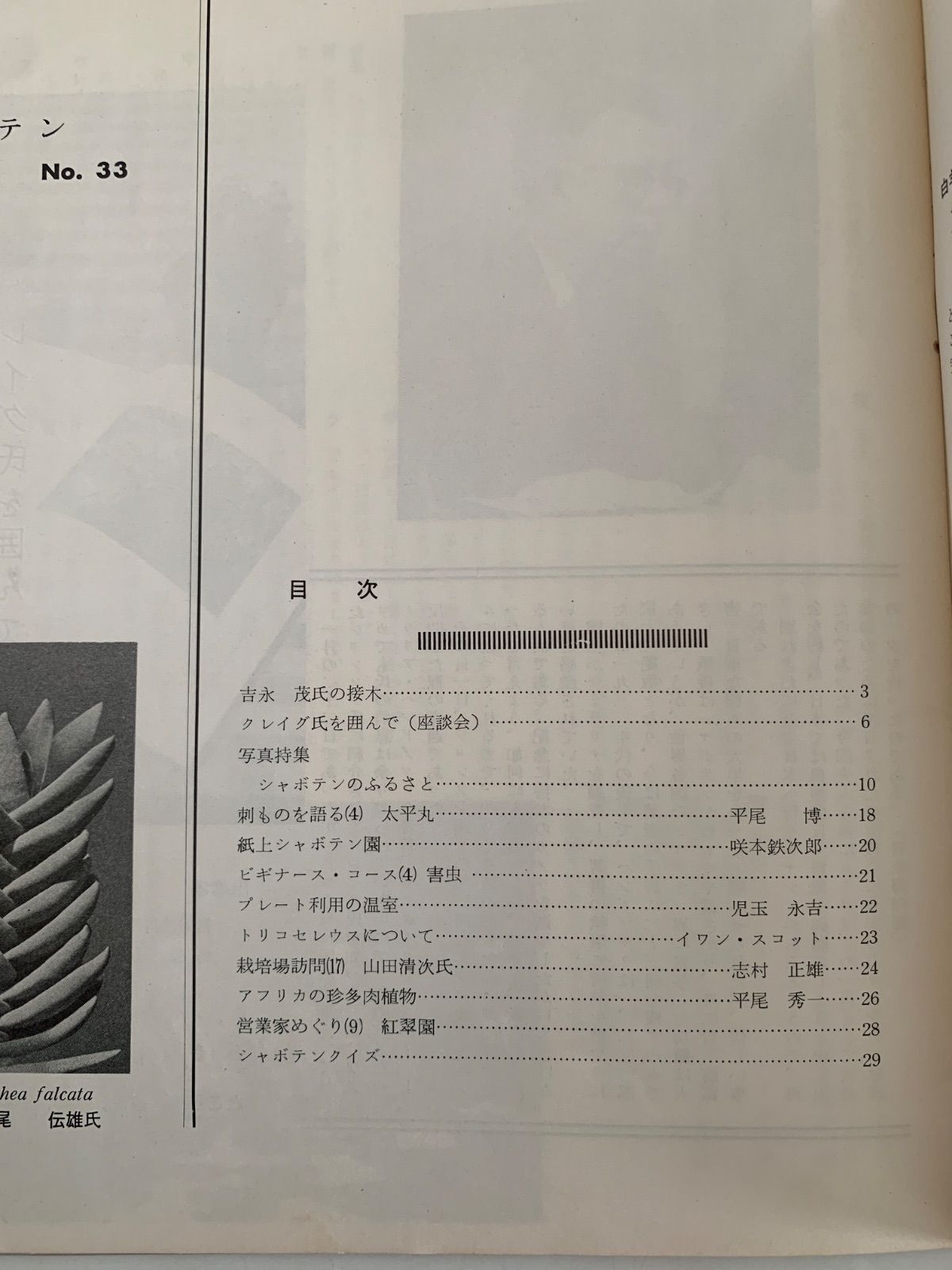 本 シャボテン No.32〜38 7冊セット