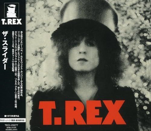 【CD】ザ・スライダー