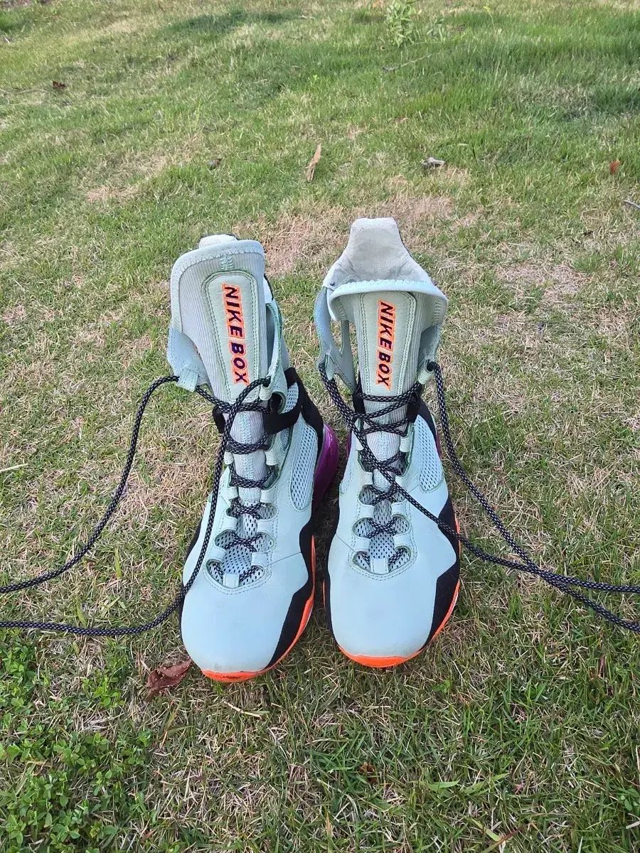 NIKE ボクシング シューズ 240 サイズ