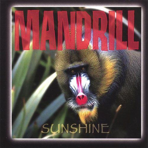 【CD】Sunshine Cd
