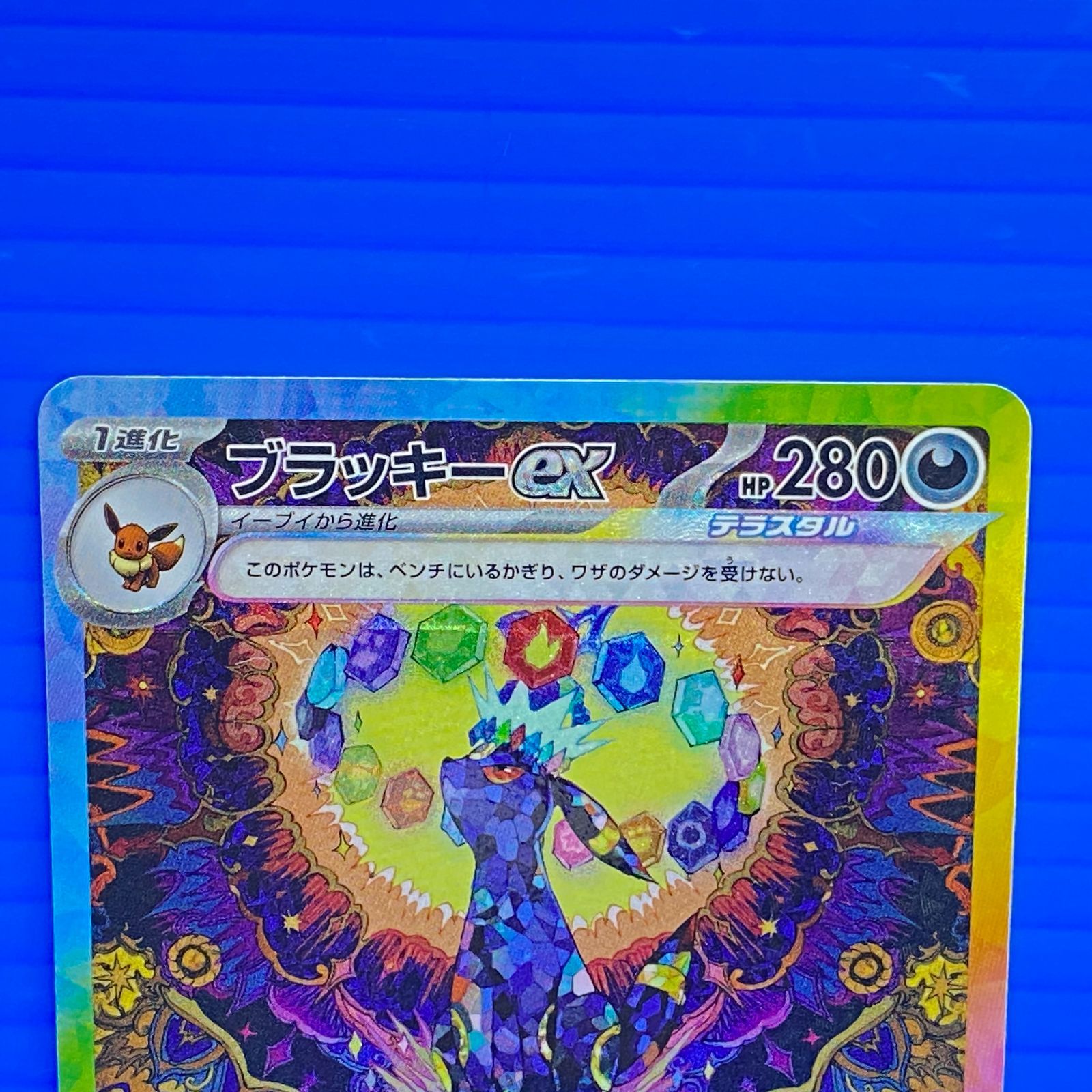盛岡店56-0581] ブラッキーex SAR SV8a テラスタルフェスex 217/187