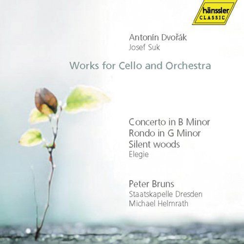 【CD】Peter Bruns Plays Dvorak & Suk