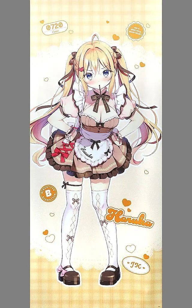 【中古】タペストリー はるか(描き下ろし) 等身大タペストリー 「DMMスクラッチ! イラストレーター ぱん スクラッチ」 A-2賞 7,332円