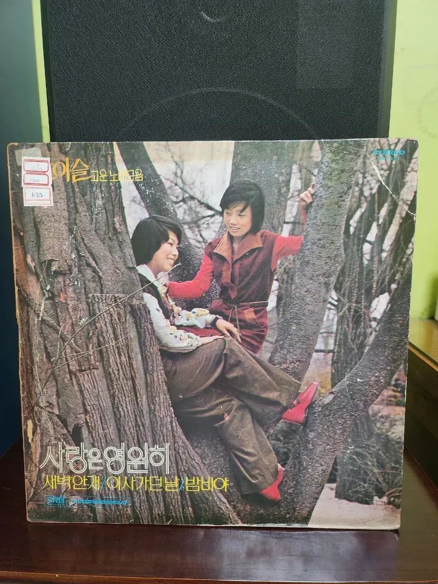 マウンテンデュー lp