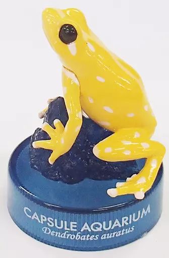 【中古】トレーディングフィギュア 3.マダラヤドクガエル(イエロー) 「カプセルアクアリウム 日本水族館立体生物図録 第4巻」