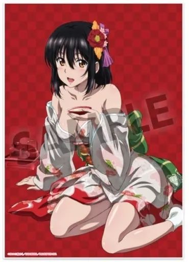 品質保証，送料無料 【中古】アクリルスタンド・アクリルパネル 姫柊雪