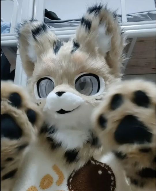 犬　猫　着ぐるみ ヘッド全頭　ヘッド ケモノ ファースーツ ぬいぐるみ コスプレ コスチューム Kurumi 一点物 C105 46,800円