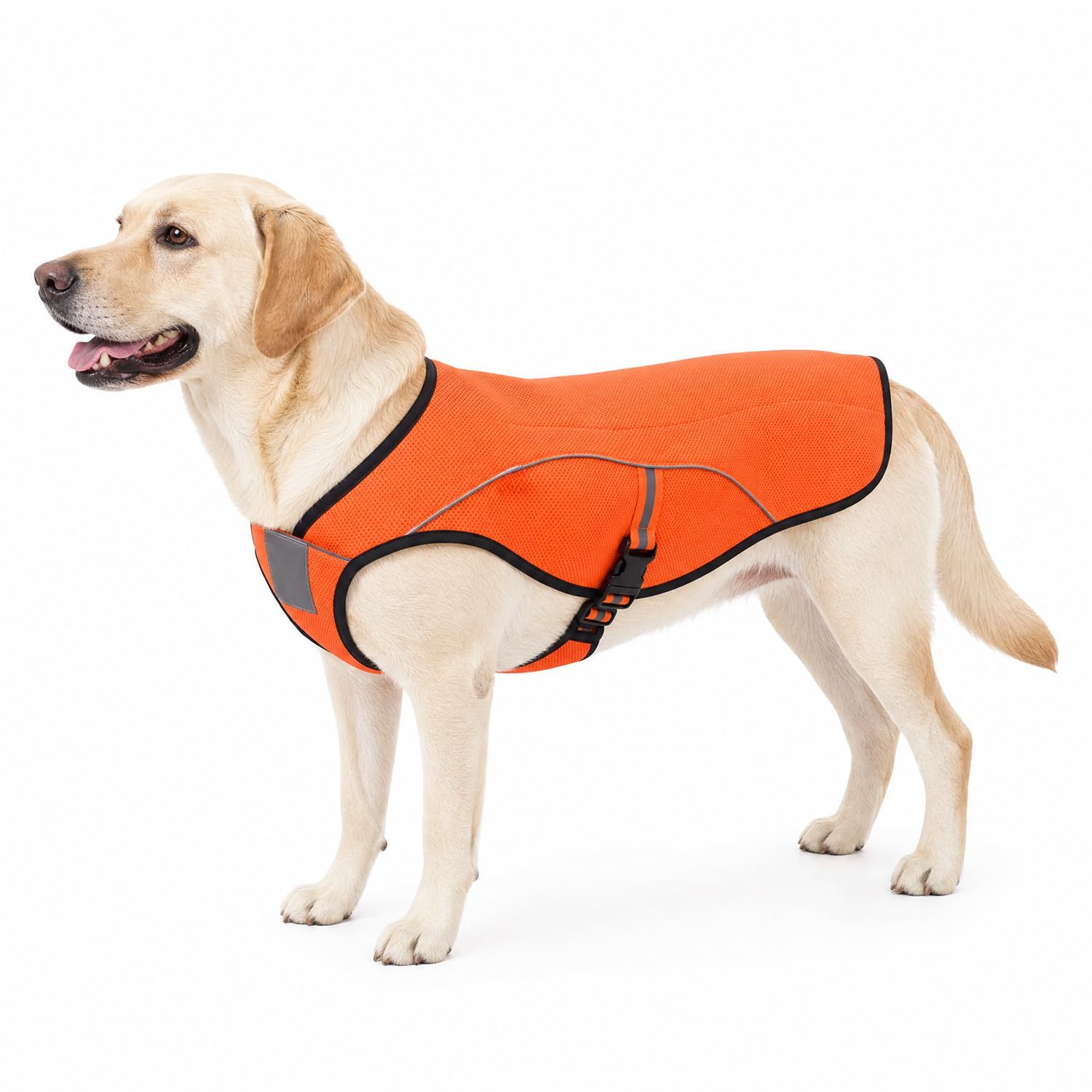 犬用クールベスト ひんやりお散歩タンクトップ 冷感犬服 熱中症対策グッズ 秋冬防寒犬服兼用 (3L, オレンジ)as