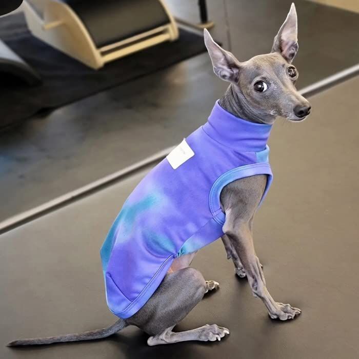 イタグレ服 ひえひえ クールベスト 小型犬 中型犬 大型犬 夏服 接触 冷感 熱中症対策 蛍光色 ベドリントンテリア ウィペット (3XL, タイダイパープル)as